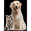 Logo of Ahsay Backup