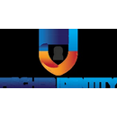 Logo of Fischer Identity