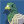 Logo of Digital Pigeon
