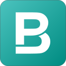 Logo of BigPicture