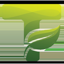 Logo of Windows Server