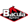 Logo of Bacula Enterprise