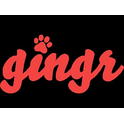 Logo of Gingr