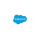 Logo of Salesforce Security and Privacy