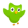 Logo of Duolingo