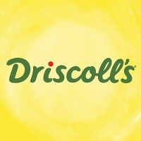 Driscoll's is using Dovetail HR