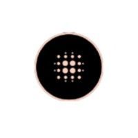 Aqua Security is using Harmony SASE